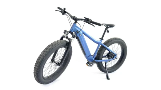 Bici elettrica per pneumatici grassi da 26 pollici Batteria al litio per bici PAS assistente 48V13ah, mountain bike maschio 624wh