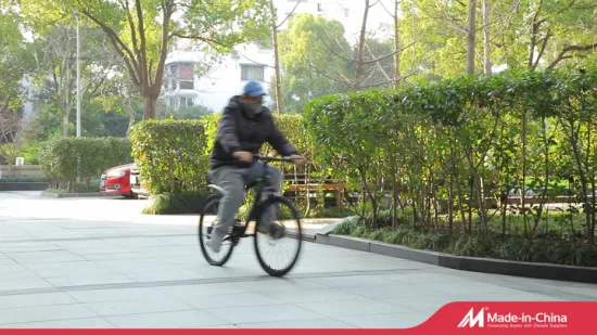 Produttore vendita diretta di biciclette biciclette per bambini per biciclette con sensore di cadenza e velocità esercizio all'ingrosso vecchie mountain bike pompa bici da strada