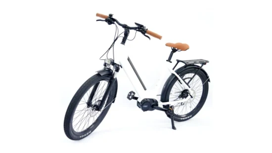 26 pollici Donne Popolare Bici Elettrica 6061 Telaio In Lega di Alluminio Utilità Della Bicicletta Della Strada Vinka 36V 250W MID Drive Set motore Ebike