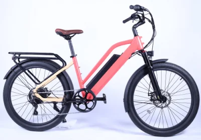 Bicicletta elettrica urbana da 500 W per spostamenti quotidiani